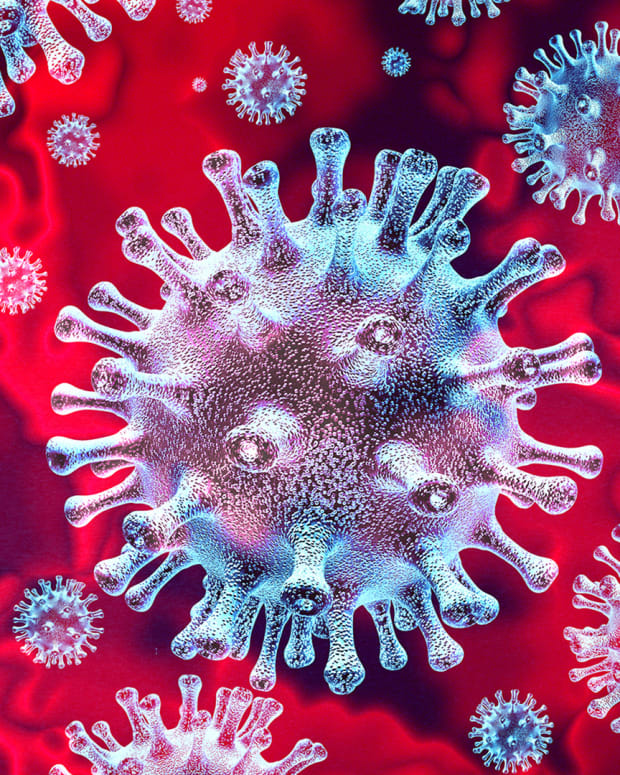 koronavirus 2